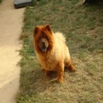 Feriado 7 de Setembro 2012