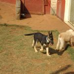 Feriado 7 de Setembro 2012