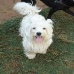 Feriado 7 de Setembro 2012