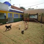 Feriado 7 de Setembro 2012