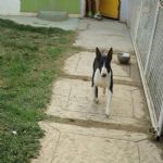 Feriado 7 de Setembro 2012