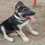 Feriado 7 de Setembro 2012