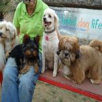 Feriado 7 de Setembro 2012