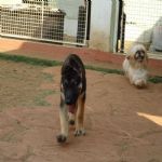 Feriado 7 de Setembro 2012