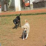 Feriado 7 de Setembro 2012