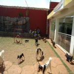 Feriado 7 de Setembro 2012