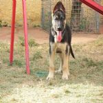 Feriado 7 de Setembro 2012