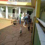 Feriado 7 de Setembro 2012