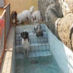 Feriado 7 de Setembro 2012