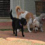 Feriado 7 de Setembro 2012