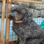 Feriado 7 de Setembro 2012