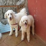 Feriado 7 de Setembro 2012