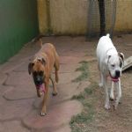 Feriado 7 de Setembro 2012