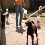 Feriado 7 de Setembro 2012