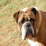 Feriado 7 de Setembro 2012