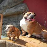 Feriado 7 de Setembro 2012