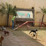 Feriado 7 de Setembro 2012