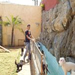 Feriado 7 de Setembro 2012