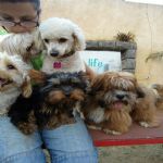 Feriado 7 de Setembro 2012