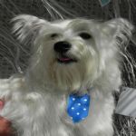 Feriado 7 de Setembro 2012