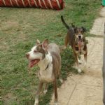 Feriado 7 de Setembro 2012