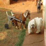 Feriado 7 de Setembro 2012