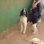 Feriado 7 de Setembro 2012