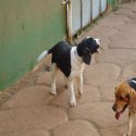 Feriado 7 de Setembro 2012