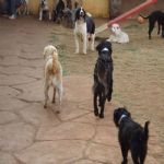 Feriado 7 de Setembro 2012