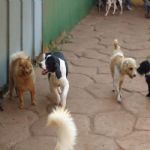 Feriado 7 de Setembro 2012