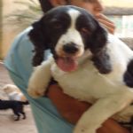 Feriado 7 de Setembro 2012