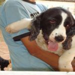 Feriado 7 de Setembro 2012