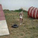 Feriado 7 de Setembro 2012