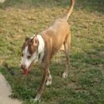 Feriado 7 de Setembro 2012