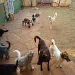 Feriado 7 de Setembro 2012