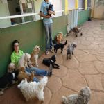 Feriado 7 de Setembro 2012