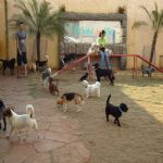 Feriado 7 de Setembro 2012