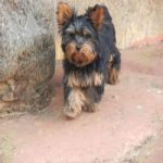 Feriado 7 de Setembro 2012