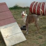 Feriado 7 de Setembro 2012