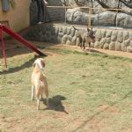 Feriado 7 de Setembro 2012