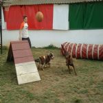 Feriado 7 de Setembro 2012