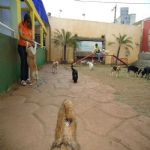 Feriado 7 de Setembro 2012