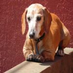 Feriado 7 de Setembro 2012