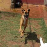 Feriado 7 de Setembro 2012