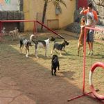 Feriado 7 de Setembro 2012