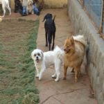 Feriado 7 de Setembro 2012