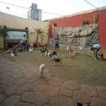 Feriado 7 de Setembro 2012