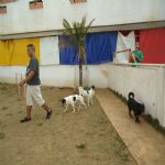 Feriado 7 de Setembro 2012