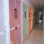 Gatil - Hospedagem de seu Gato e Silvestres