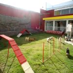 Hotel Para Cães